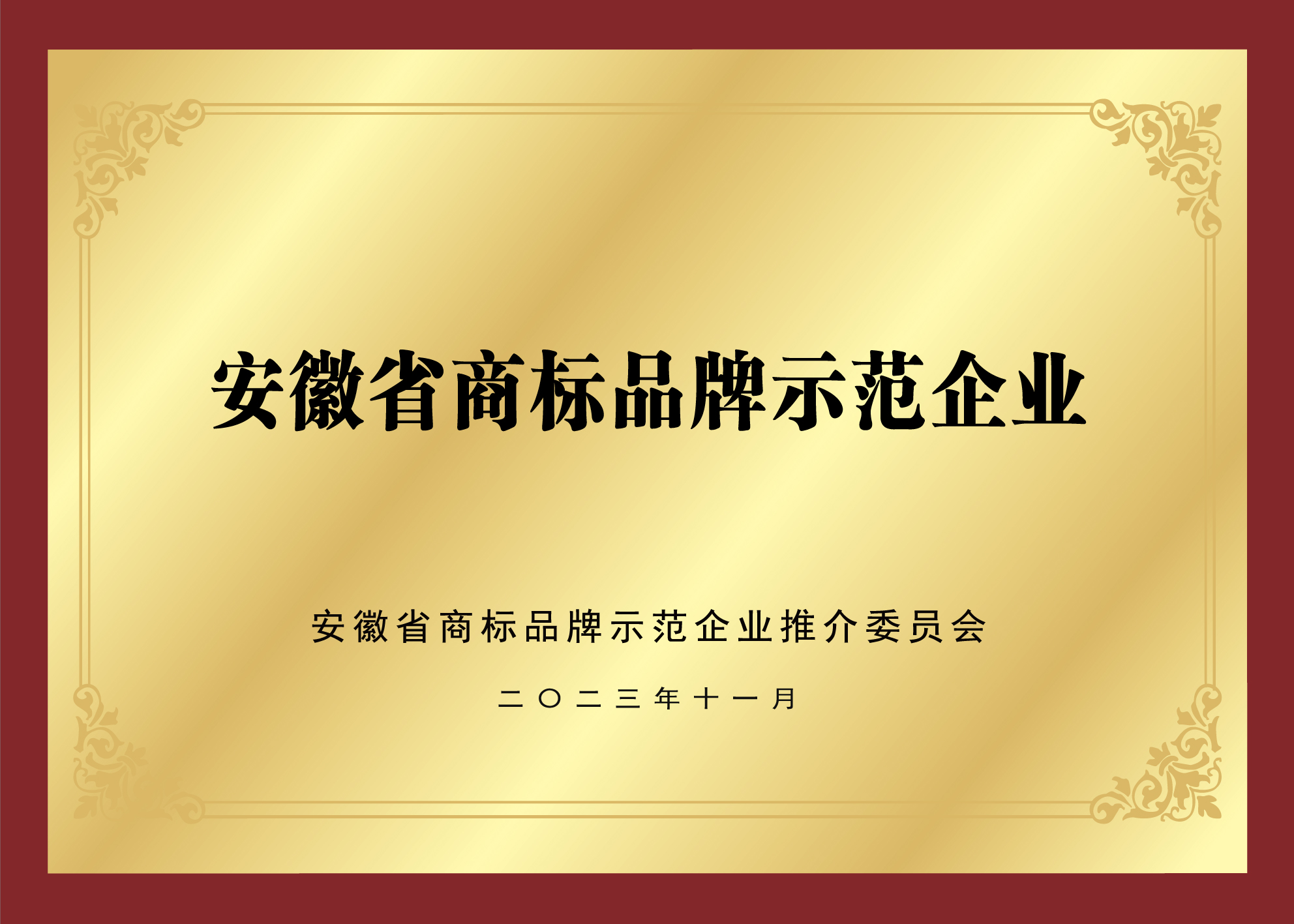 安徽省商标品牌示范企业